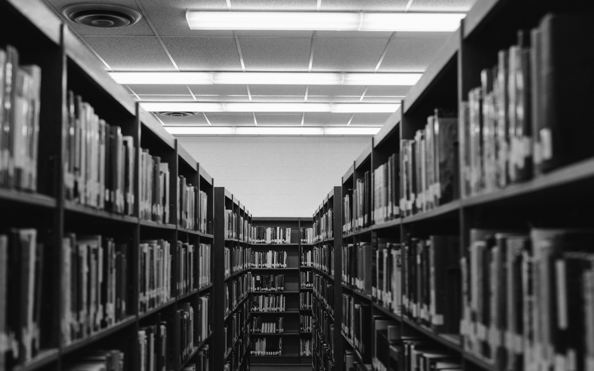 Photo by Priscilla Du Preez on Unsplash