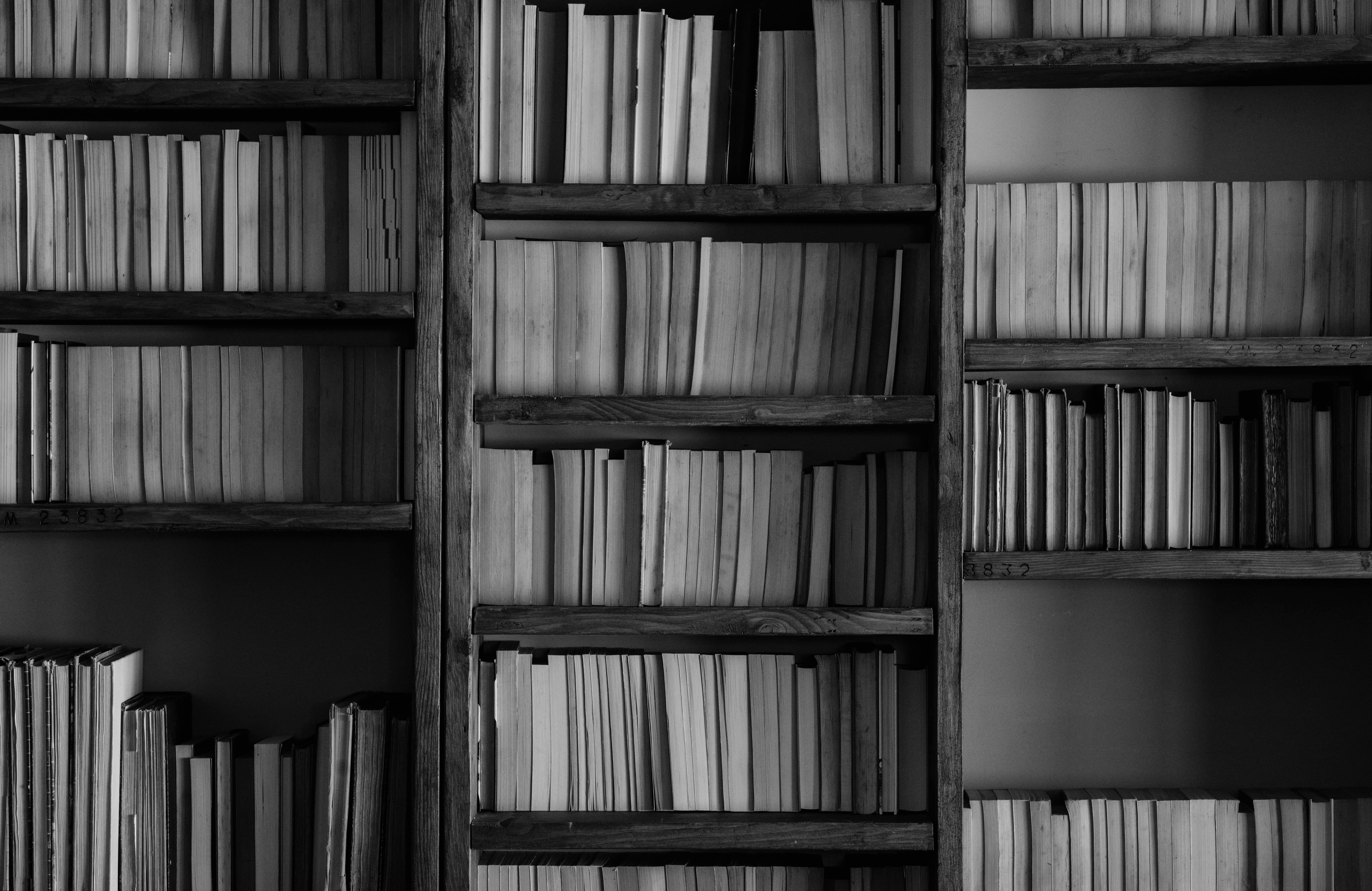 Photo by Annie Spratt on Unsplash