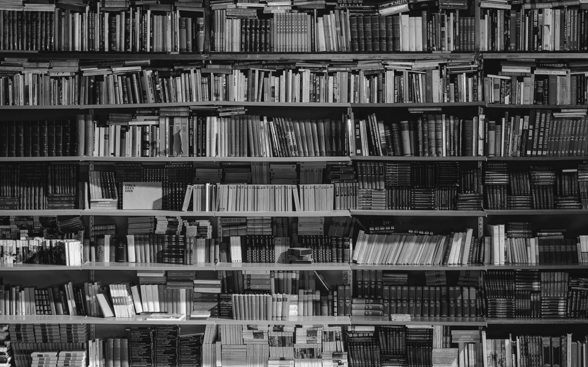 Photo by Alfons Morales on Unsplash