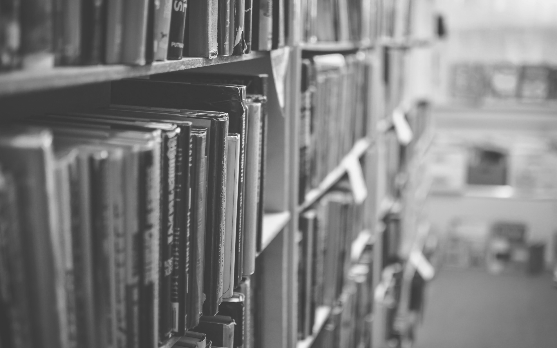 Photo by Jamie Taylor on Unsplash
