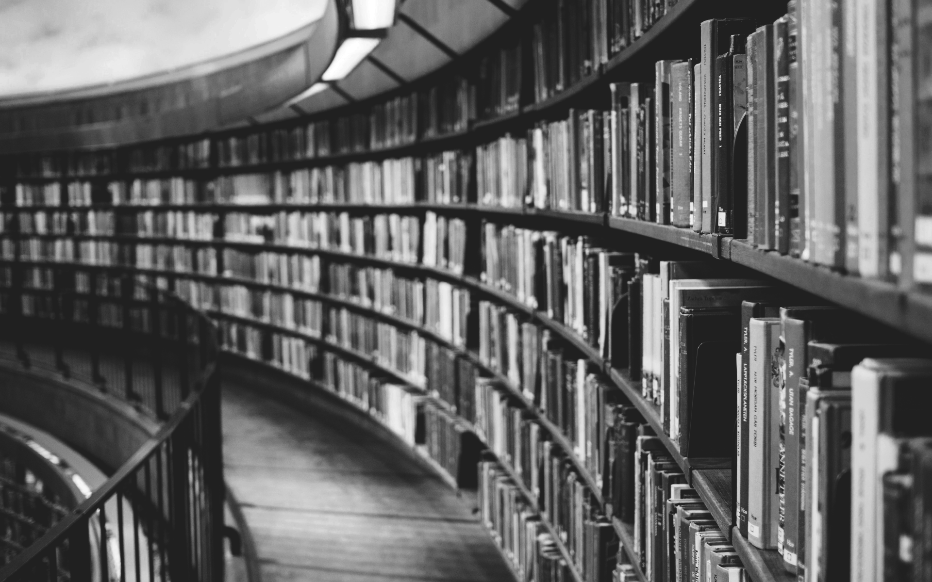 Photo by Susan Yin on Unsplash